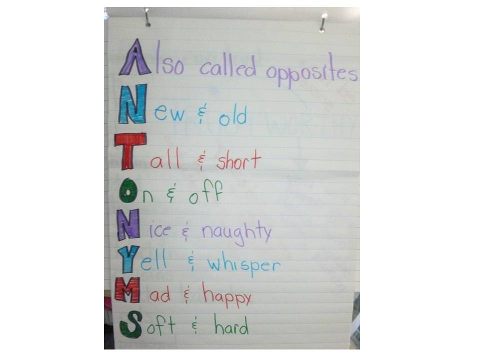 Fabulous Free Finds Synonym Edition Elementary AMC