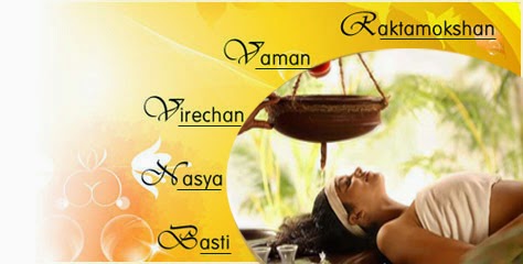 http://www.ayurvedacoursesindia.com/