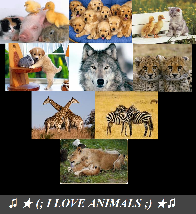 ♫ ★ (; I LOVE ANIMALS ;) ★ ♫