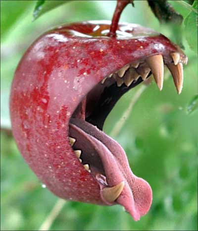 Apple Evil