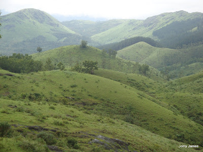 Wagamon Meadows