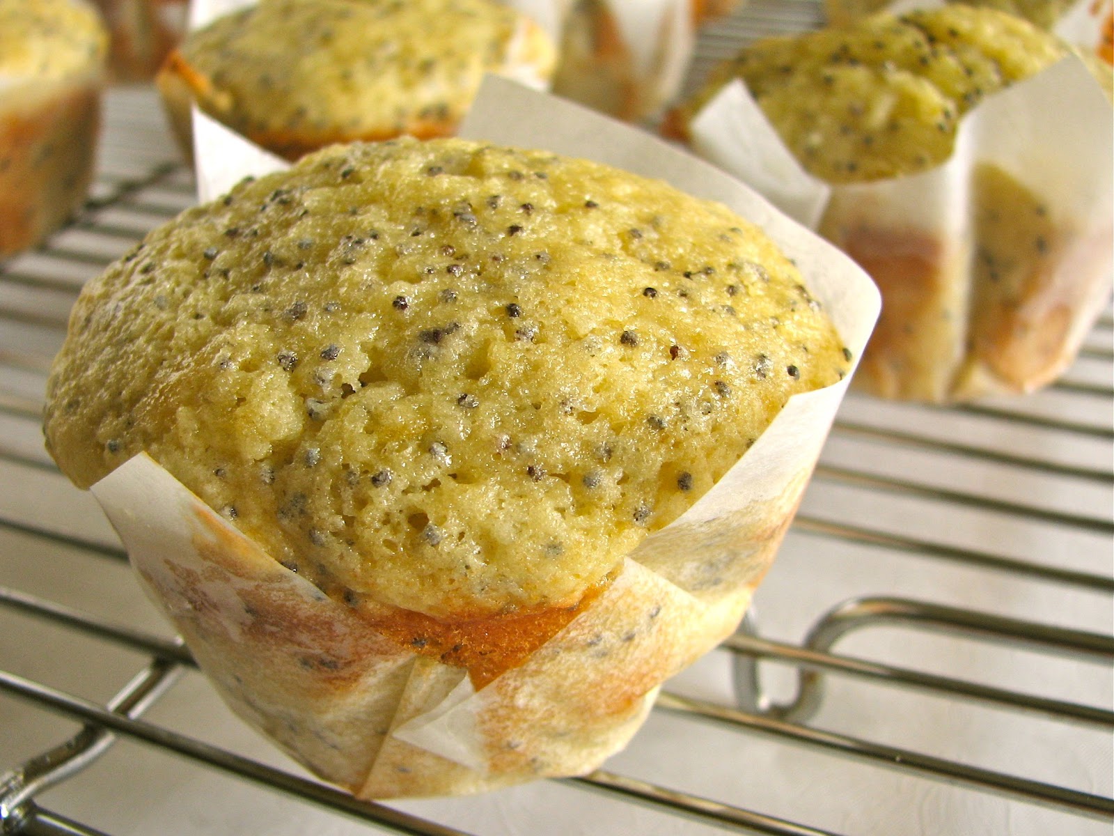 Delectably Mine Lemon Poppy Seed Muffins