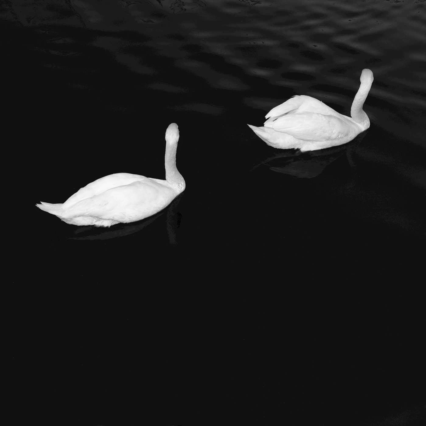 Cashmere Cat feat. Ariana Grande - Adore