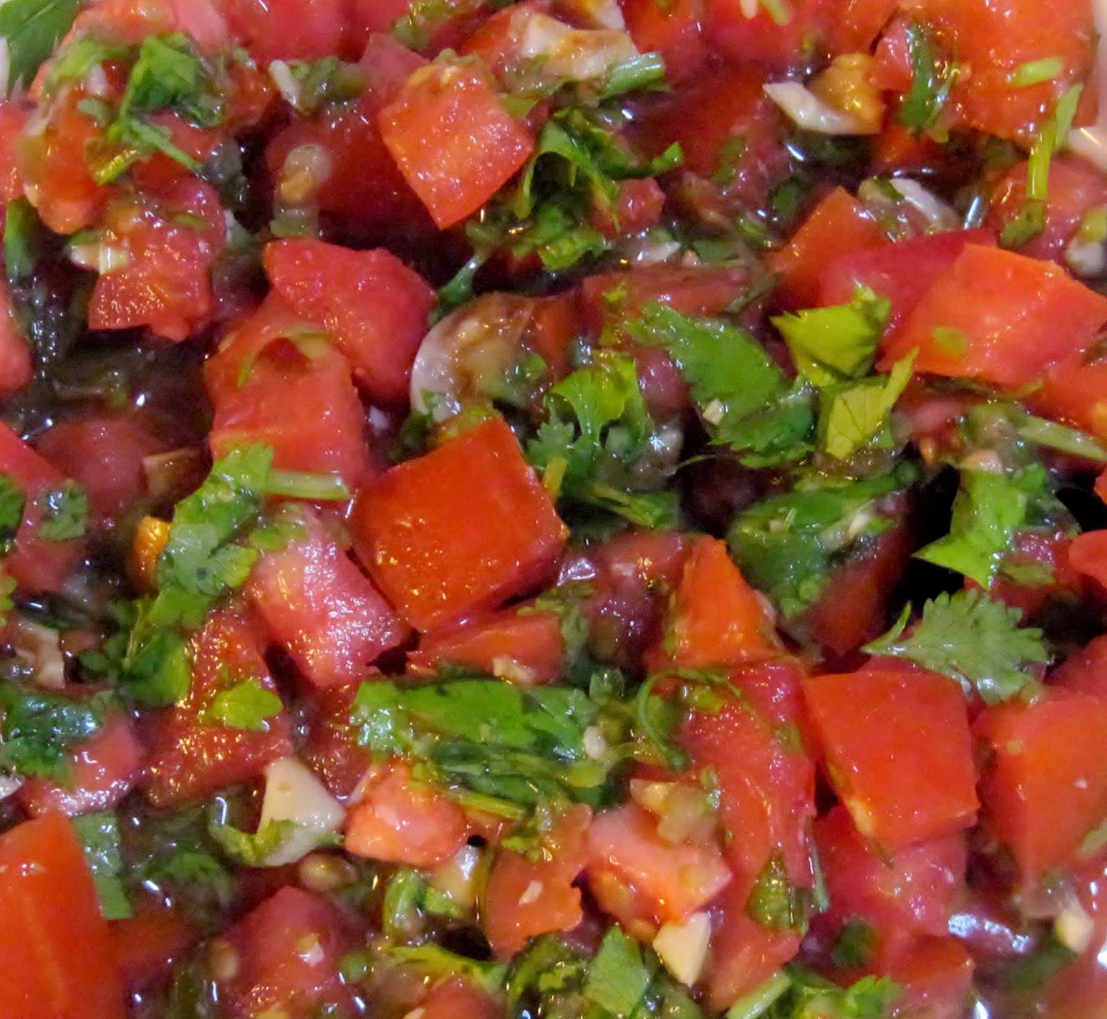 Carolina Sauce Company Zesty Roasted Garlic & Cilantro Salsa