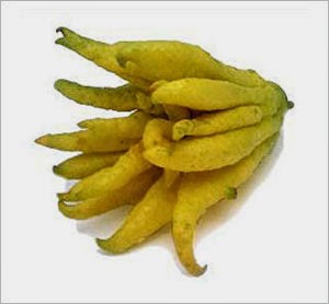 [Image: S%E1%BB%AD%2Bd%E1%BB%A5ng%2Bv%C3%A0%2Bb%...%BB%A7.jpg]