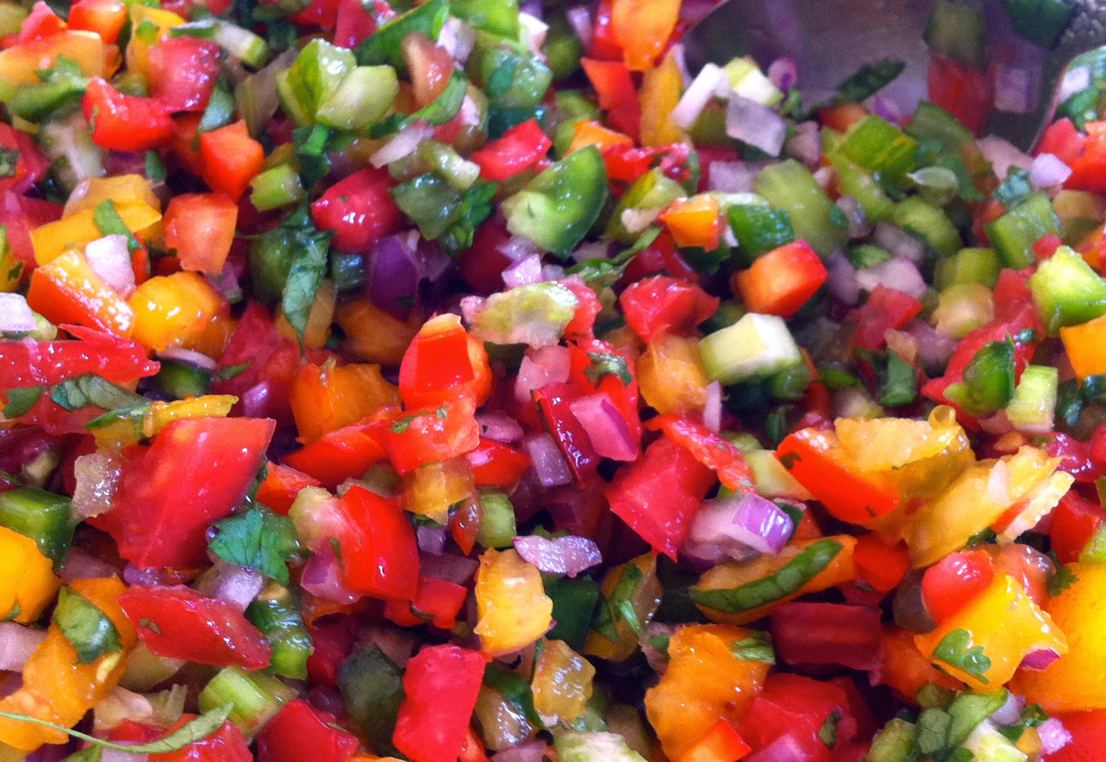 image of colorful yummy salsa