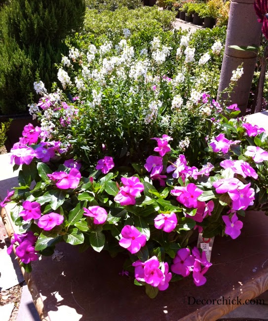 Deck Mini Makeover Shopping List Days of Chalk and Chocolate