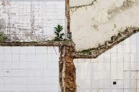 Fotografia Bruno Veiga - Galeria de Gravura