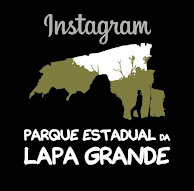 Siga-nos no Instagram