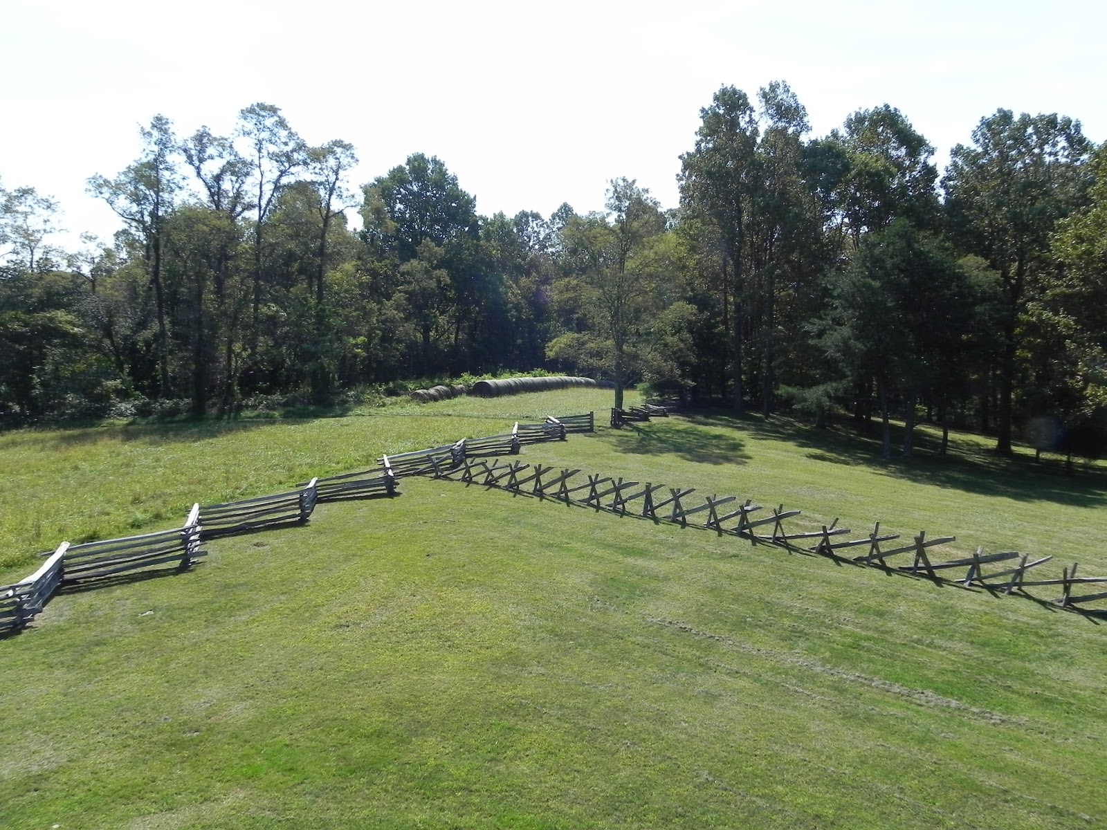 Navionics Cracked Egg