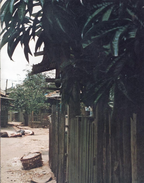 Dead Vietcong fighters