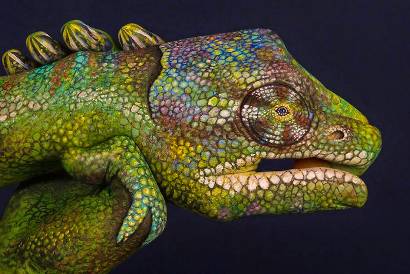 Hand 'animal' paintings by Guido Danielle
