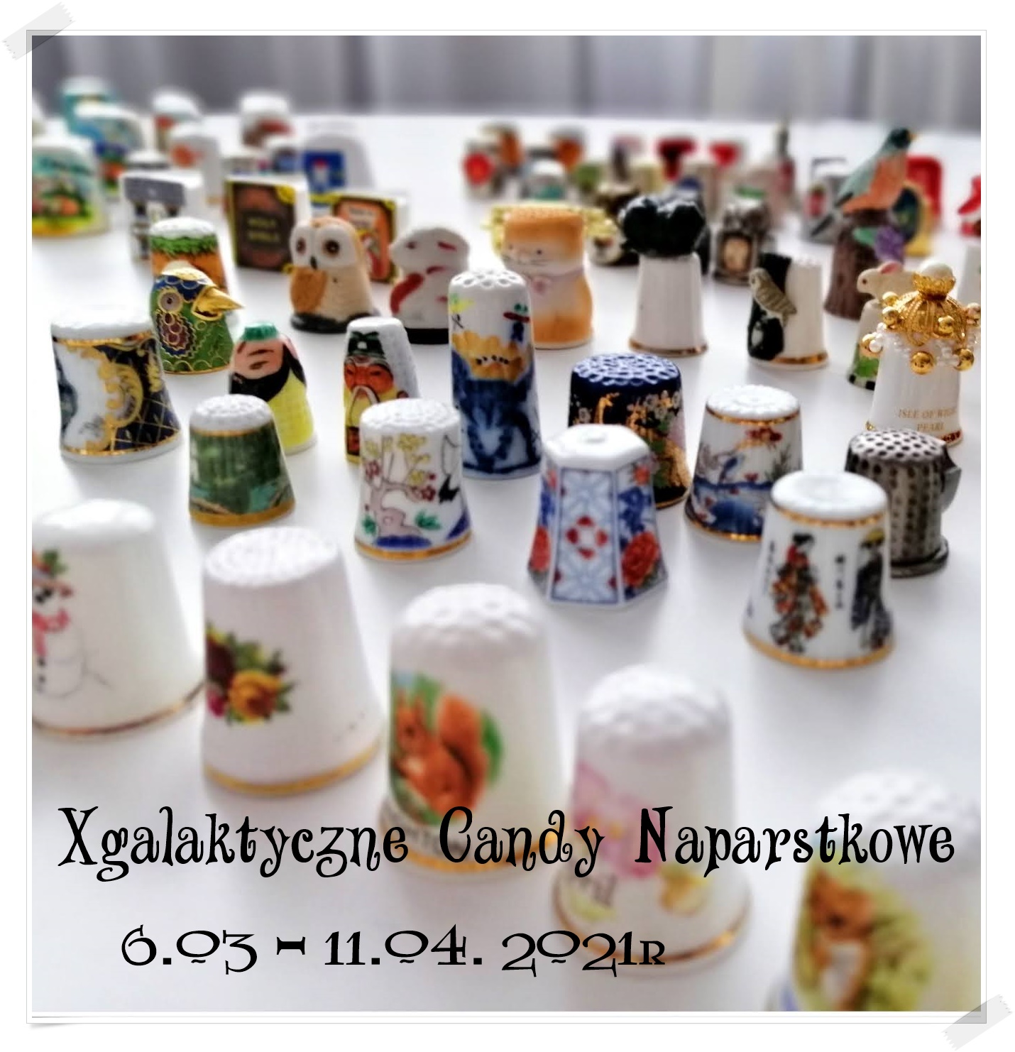 Candy naparstkowe u Xgalaktyki