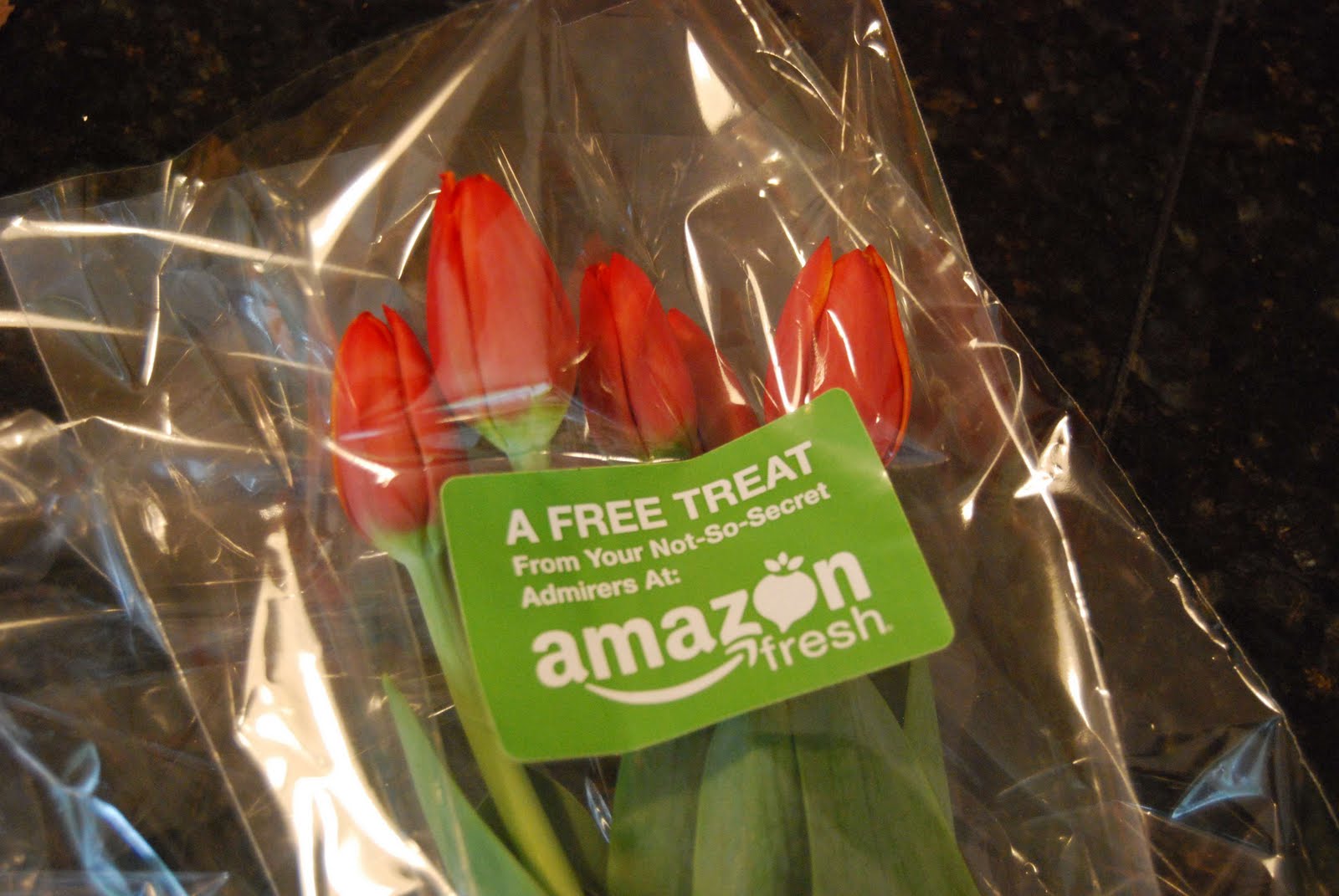 Room to Inspire June 2011