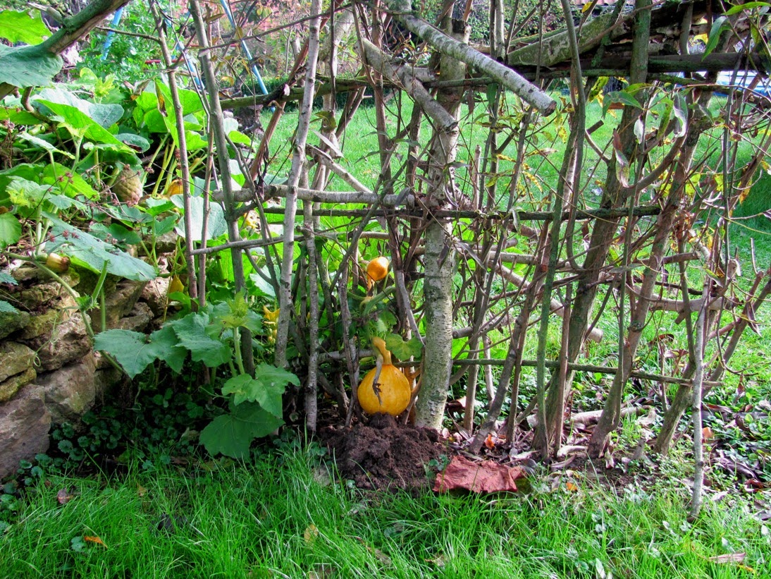 Gartenanders Weidentor im romantischen Garten