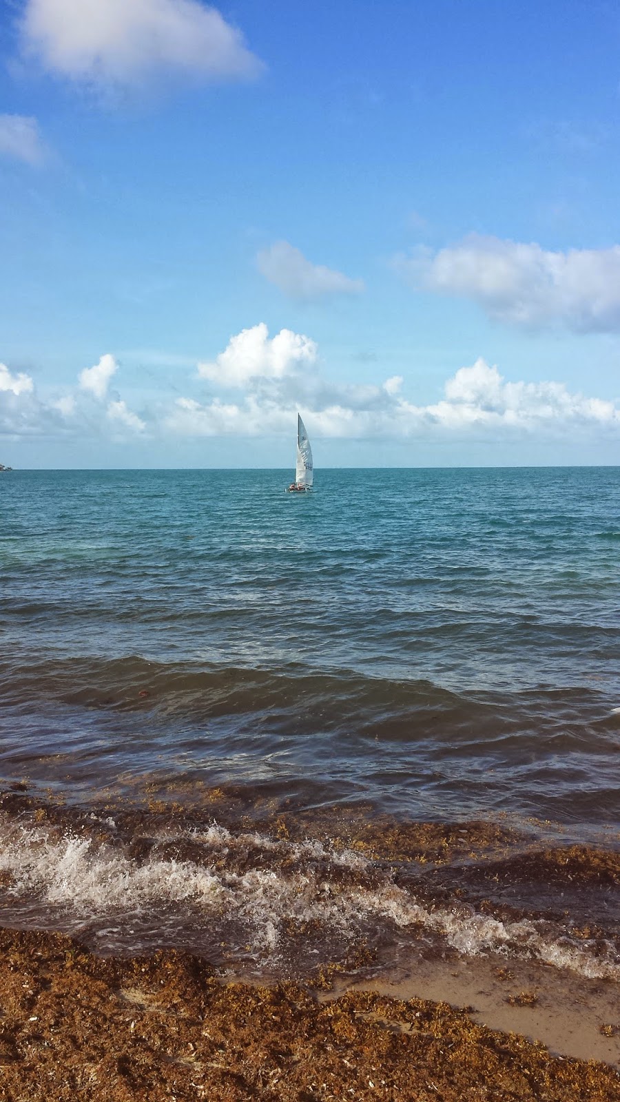 Remaxvipbelize: Picture admiring this sailboat