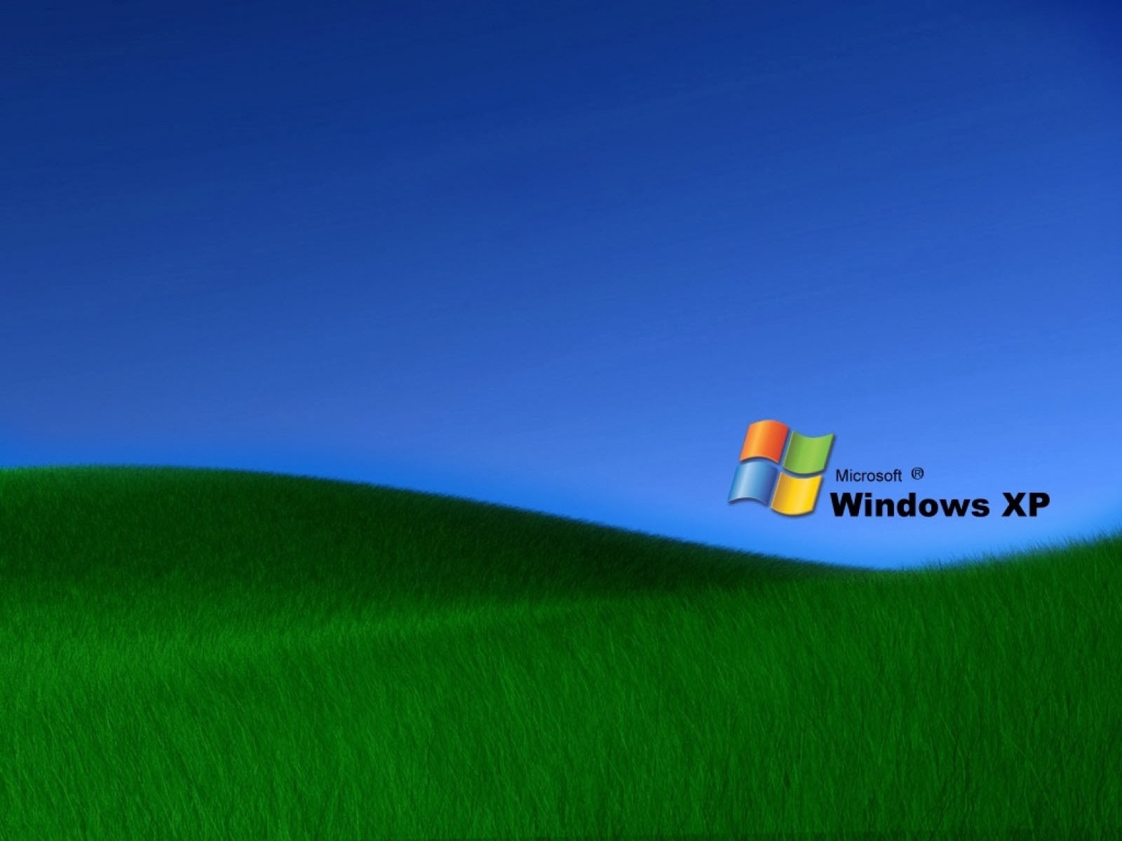 Grass Windows XP Wallpapers - Amazing Picture Collection