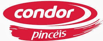 Parceria Condor Pinceis