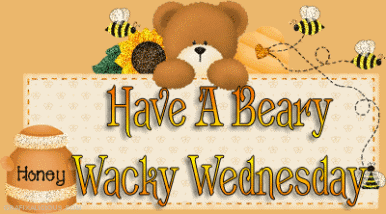 beary-wednesday.gif