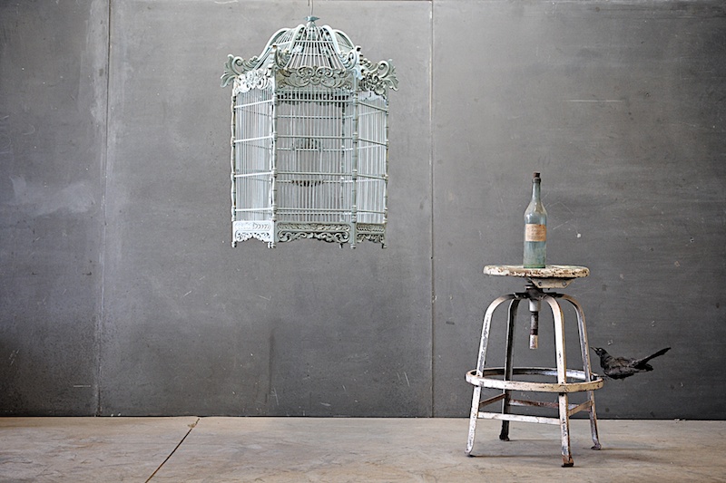 decorative bird cages ireland we are okay bird cages not just a home for birds decorative bird cages ireland we are okay bird cages not just a home for birds