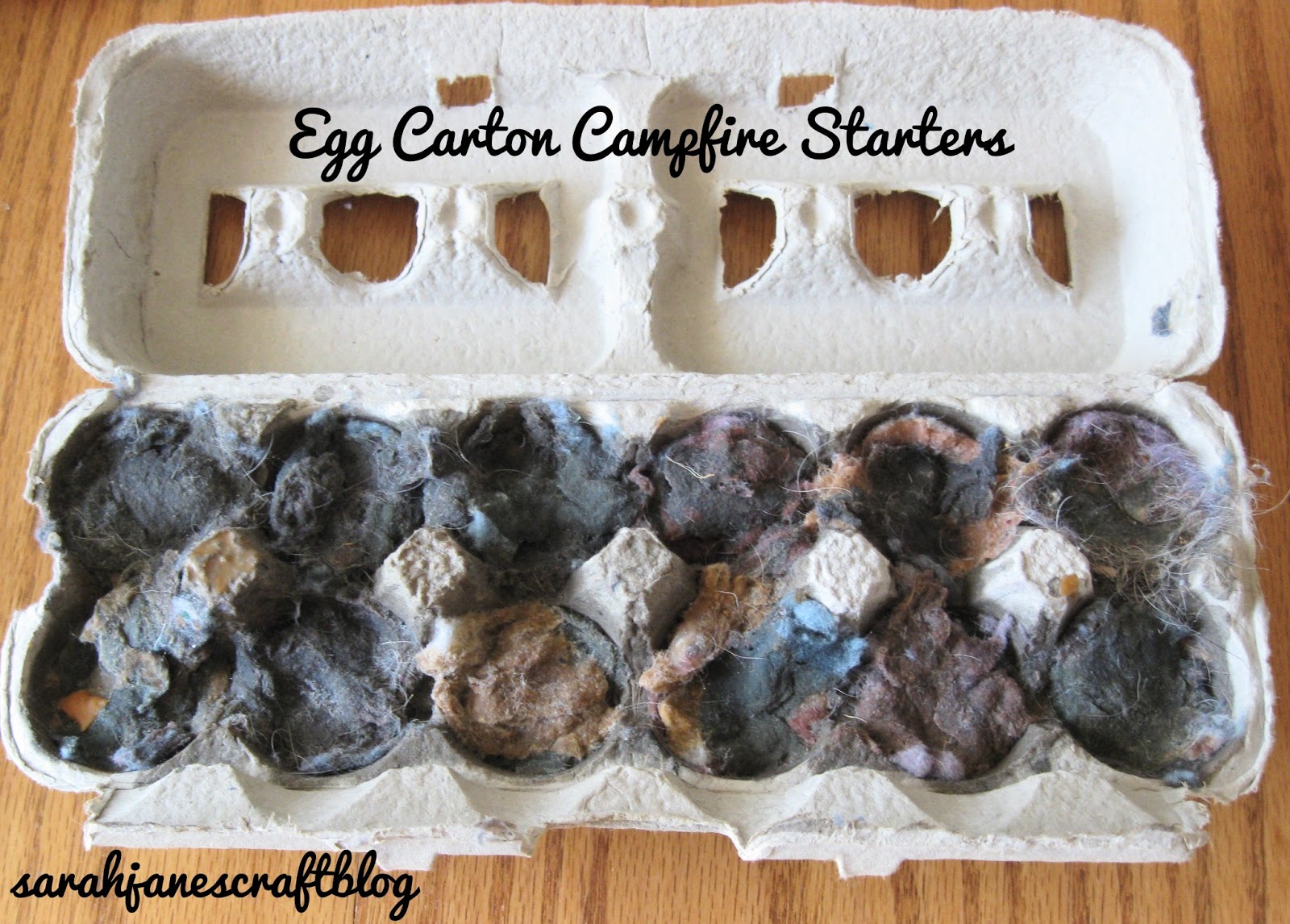 Sarah Jane's Craft Blog Egg Carton Campfire Starters