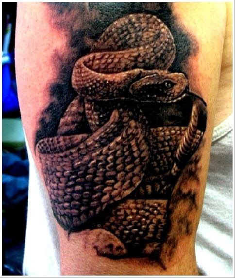 Avoir Images Tattoo Designs Snake Tattoo dernière