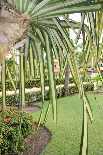 Grand Bahia Principe Bavaro Punta Cana