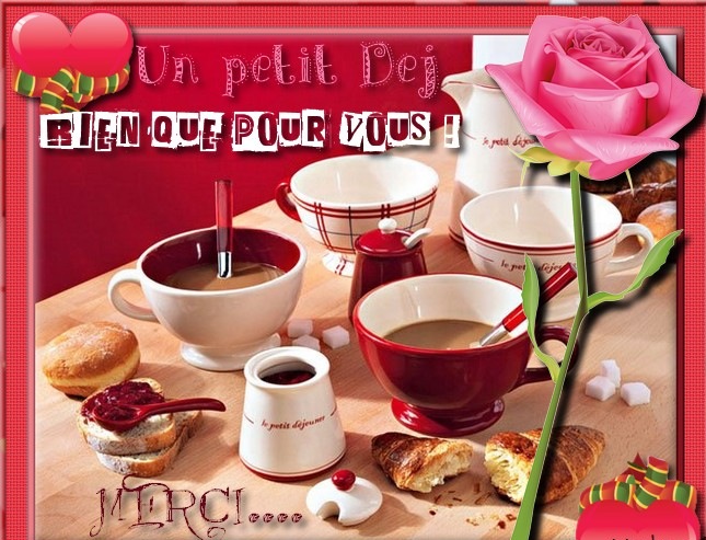 un éléphant rencontre un boa pour la première fois