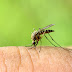 ¿Se transmite el Zika por vía sexual?