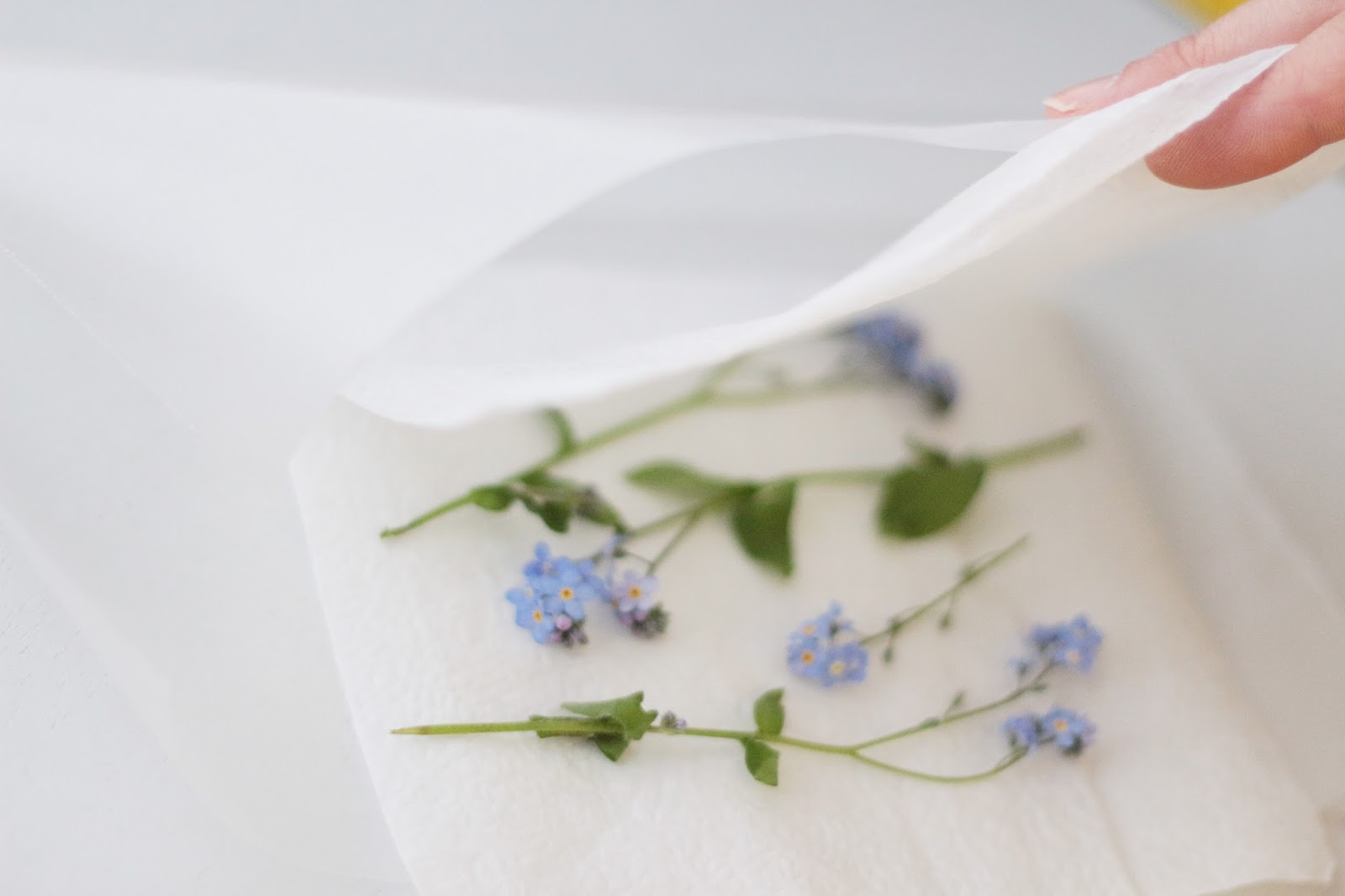 blog — elle Pressed Flower Pendant // DIY