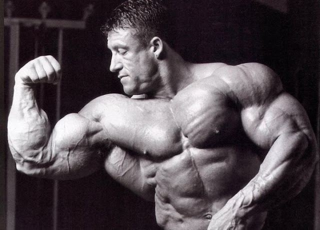  Dorian yates workout routine pdf with Comfort Workout Clothes