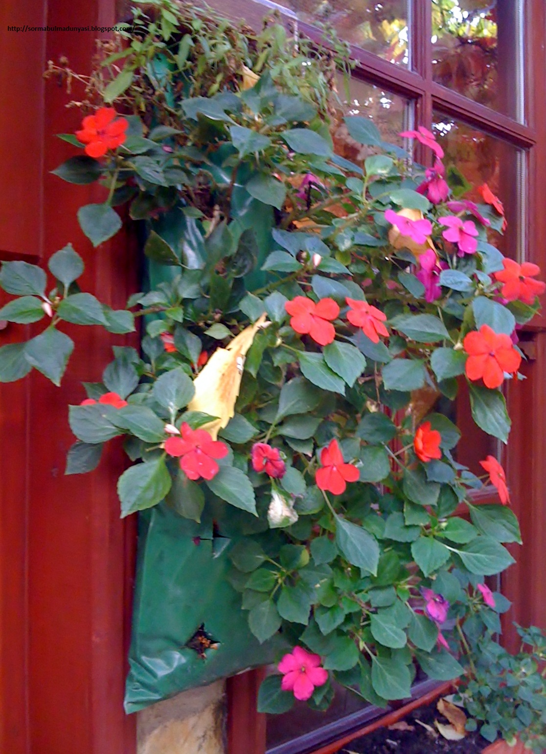 En Güzel Yemek Ve Tatlı Tarifleri Çorum�da Nerede Yemek Yenir