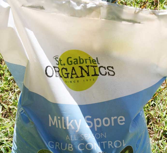 Everyday Finesse More about Milky Spore