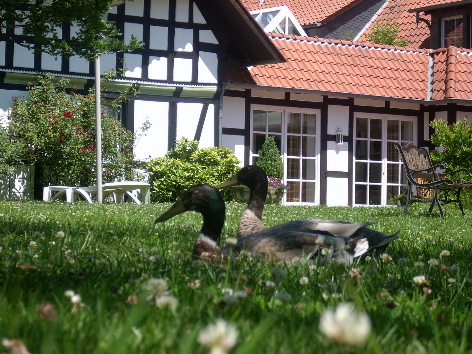 Traumzaubereien 2016