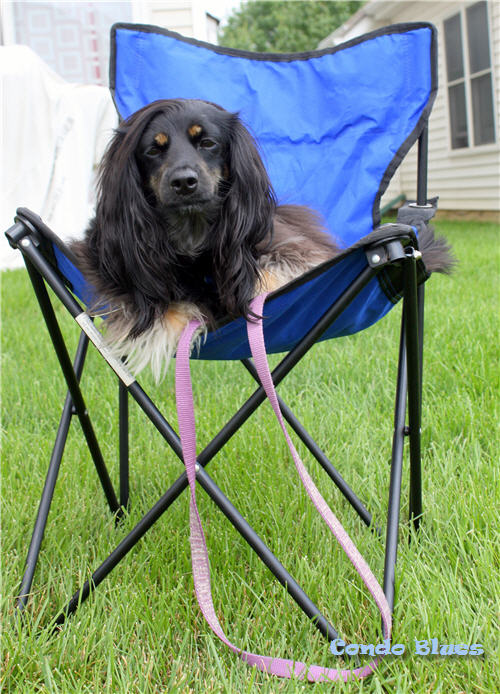 Condo Blues How to Repair a Quad Camp Chair