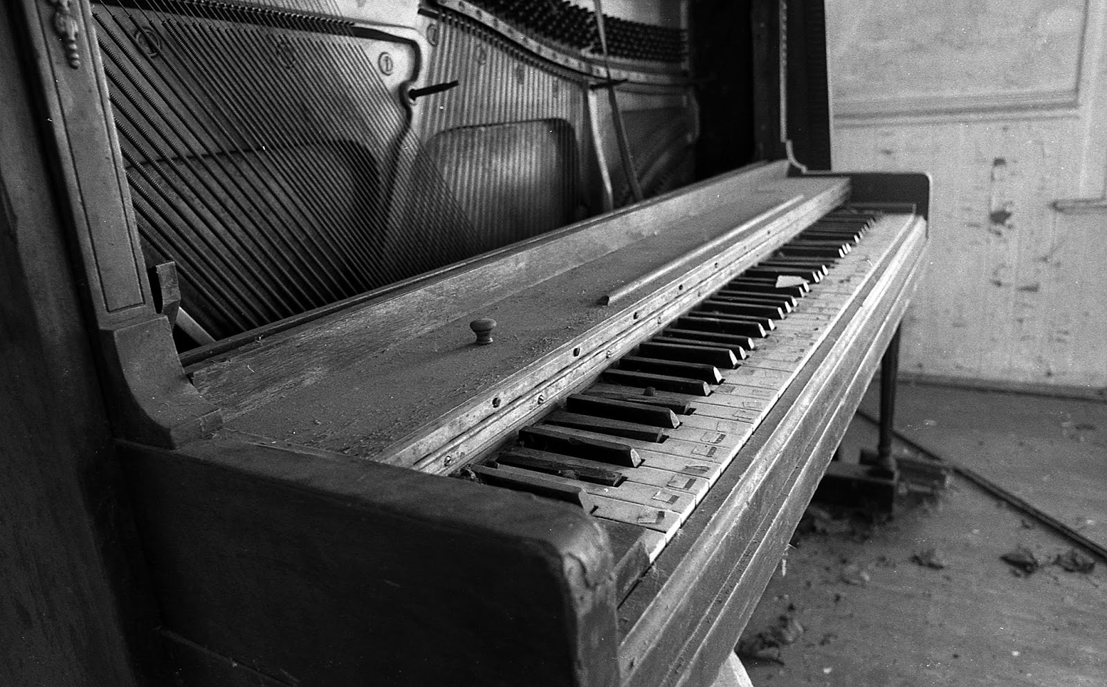 Extra Frames Ringwood Manor