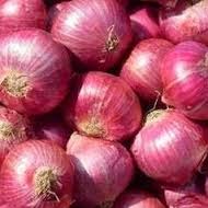 Vegetables Exporter How To Make Your Perishable Food Items Last