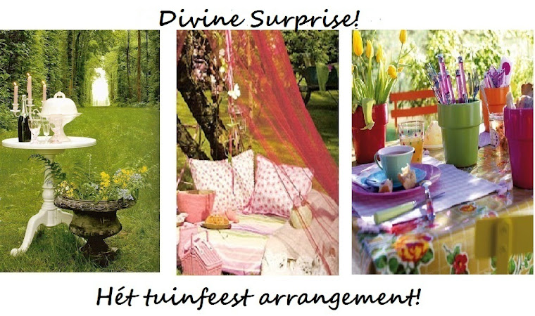 Divine Surprise!