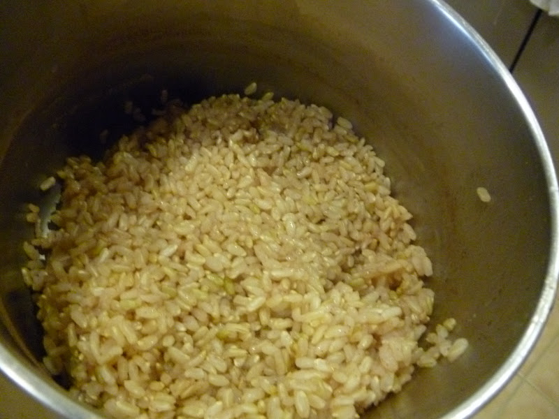 Hevil's Special Delights Brown Rice arroz con leche