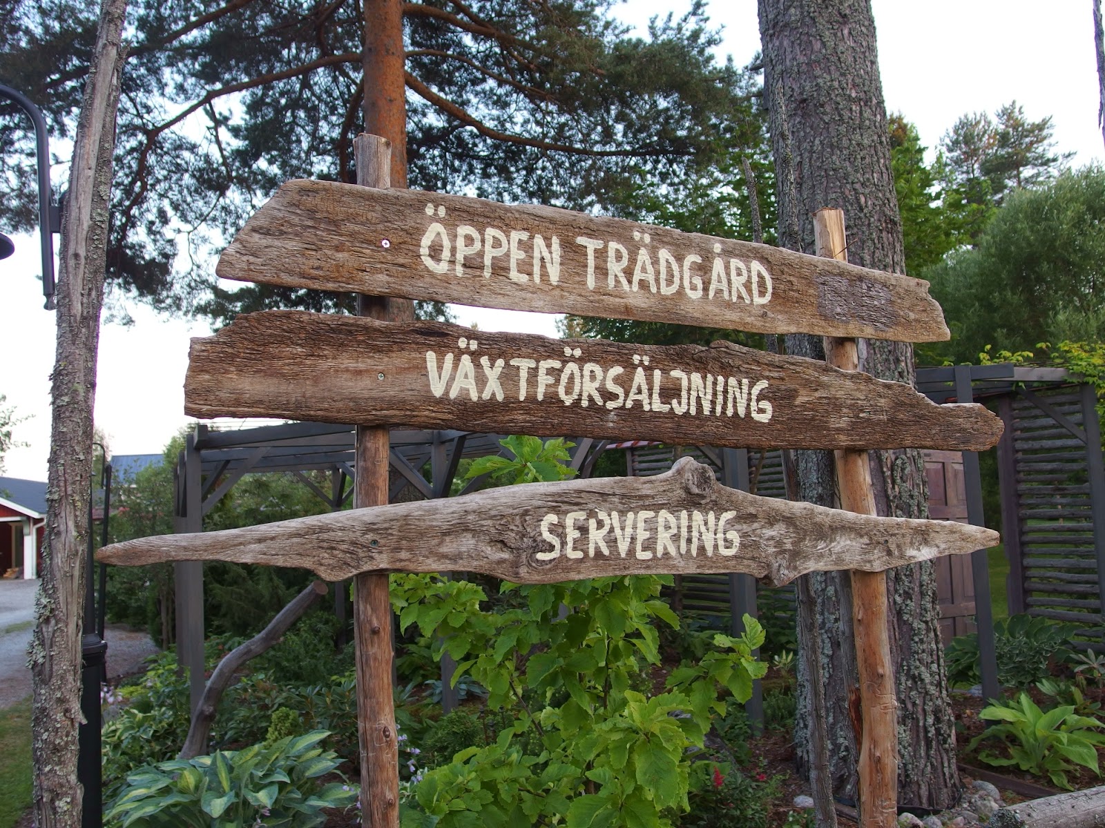 Inget nytt under solen: pite havsbad och triloba trädgård