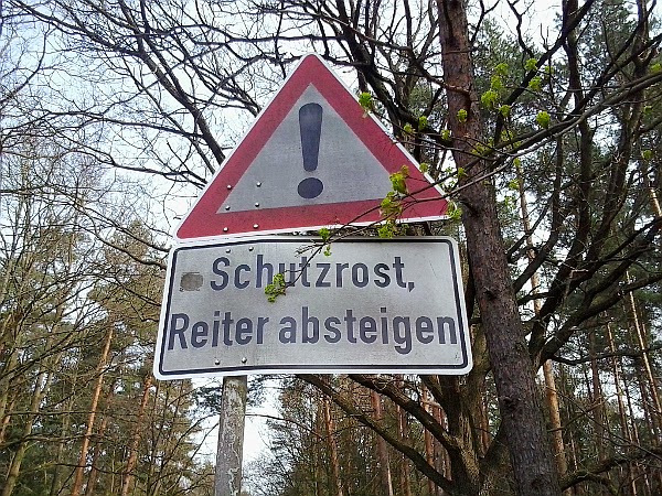 Kirche Des Fliegenden Spaghettimonsters Deutschland Gemeinde