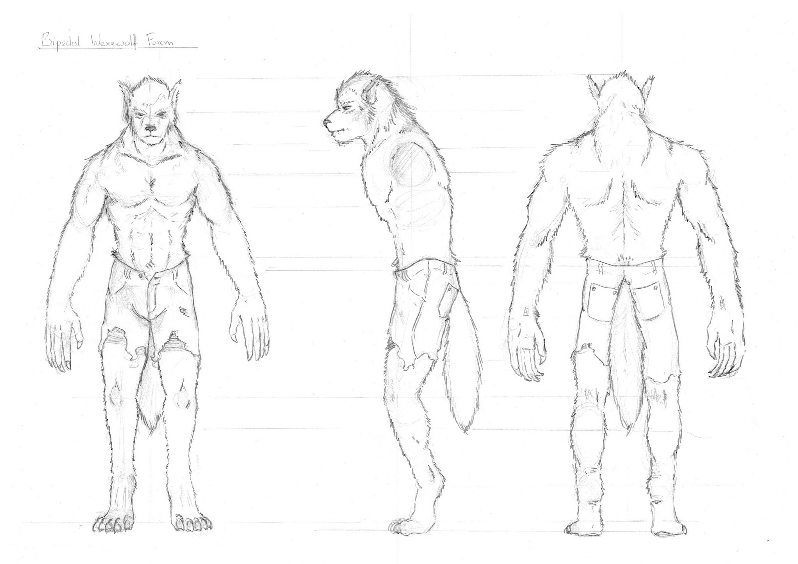 Specialization Project Bipedal Werewolf Form Character Sheet
