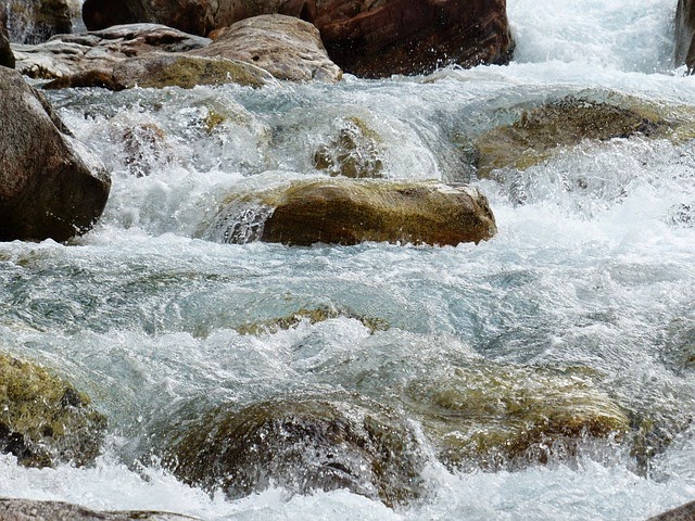 Image Source: Pixabay