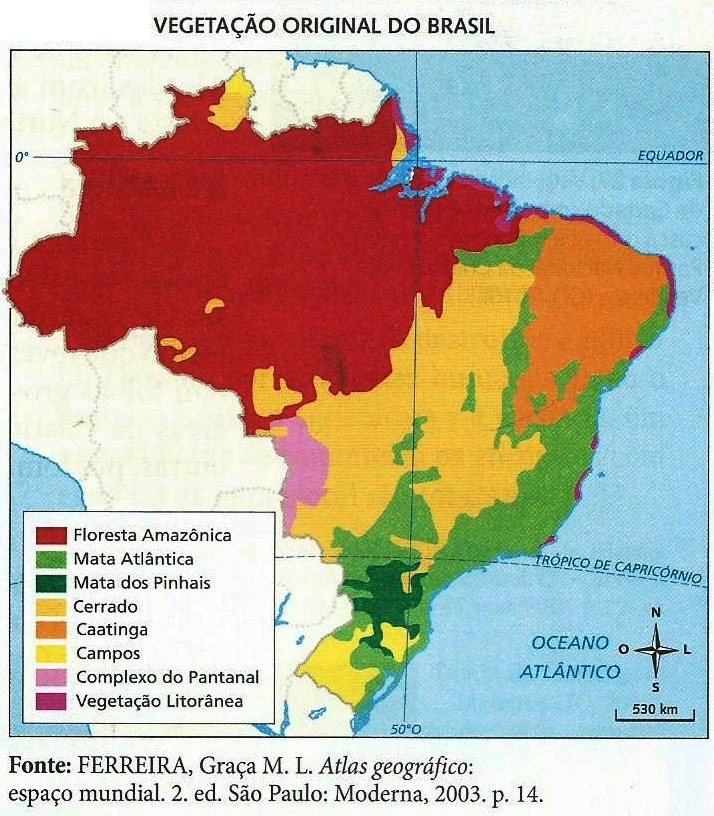 TIPOS DE VEGETAÇÃO NO BRASIL – GEO MODERNA