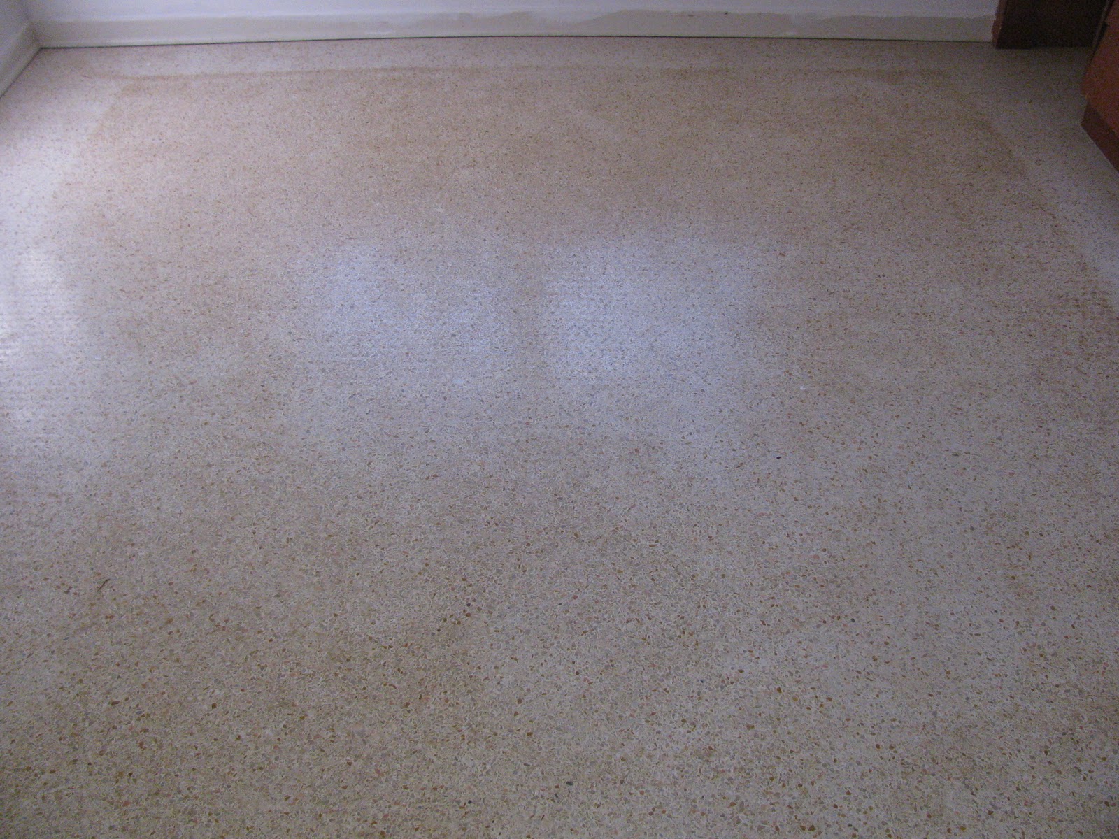 Terrazzo Restoration, Epoxy Coatings and Concrete Polishing by SafeDry