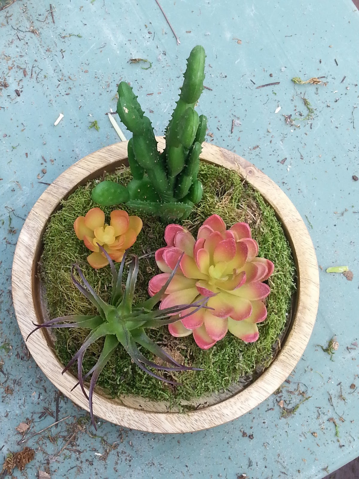 Live From B5 How to Make a {Fake} Terrarium