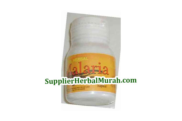 Obat Herbal "Malaria" Obat Herbal "Malaria"