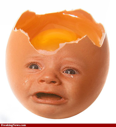 baby+egg+mn.jpg