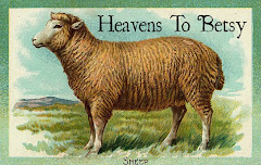 Heavens to Betsy Website