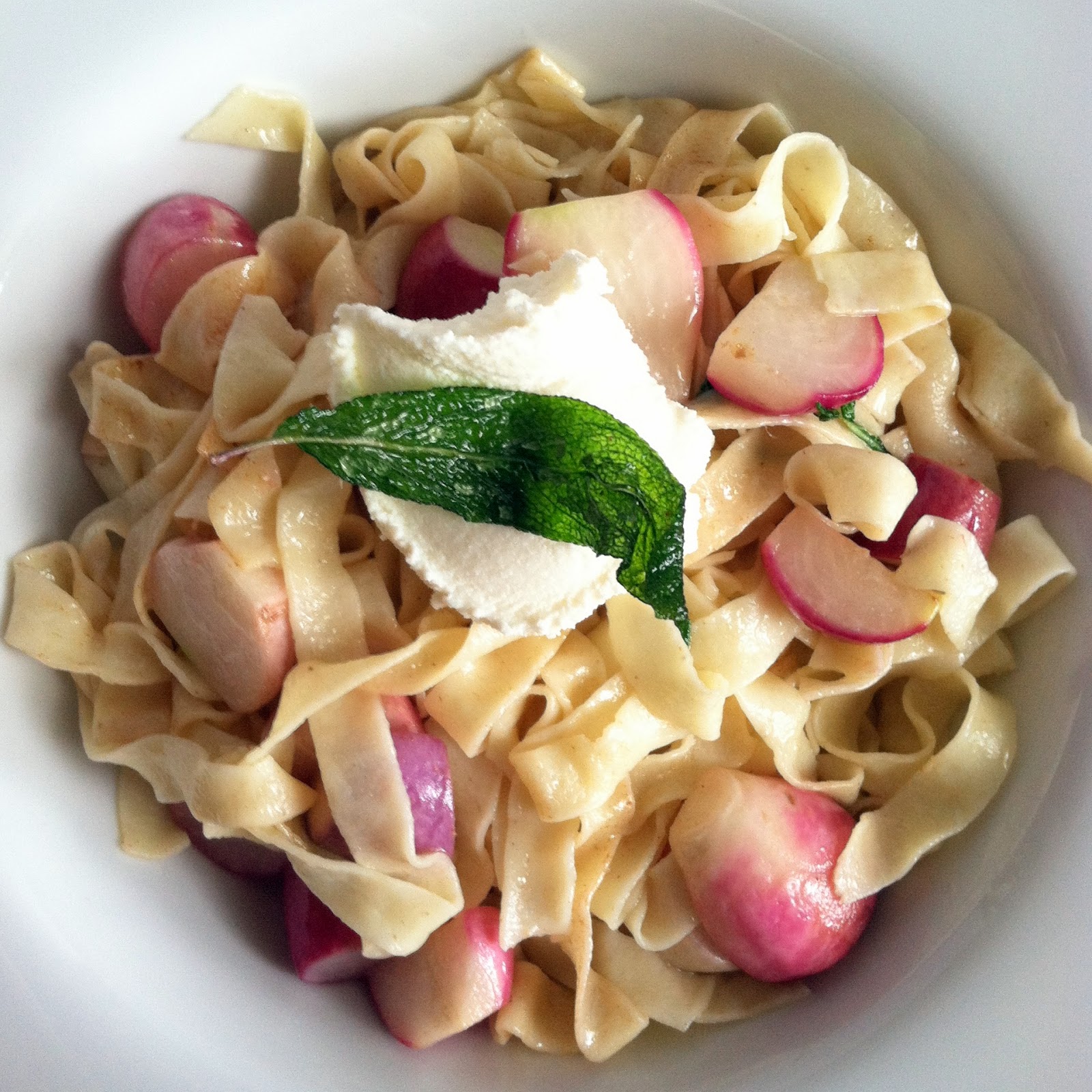 Omnivora Garden Series Part I Radishes & Sage